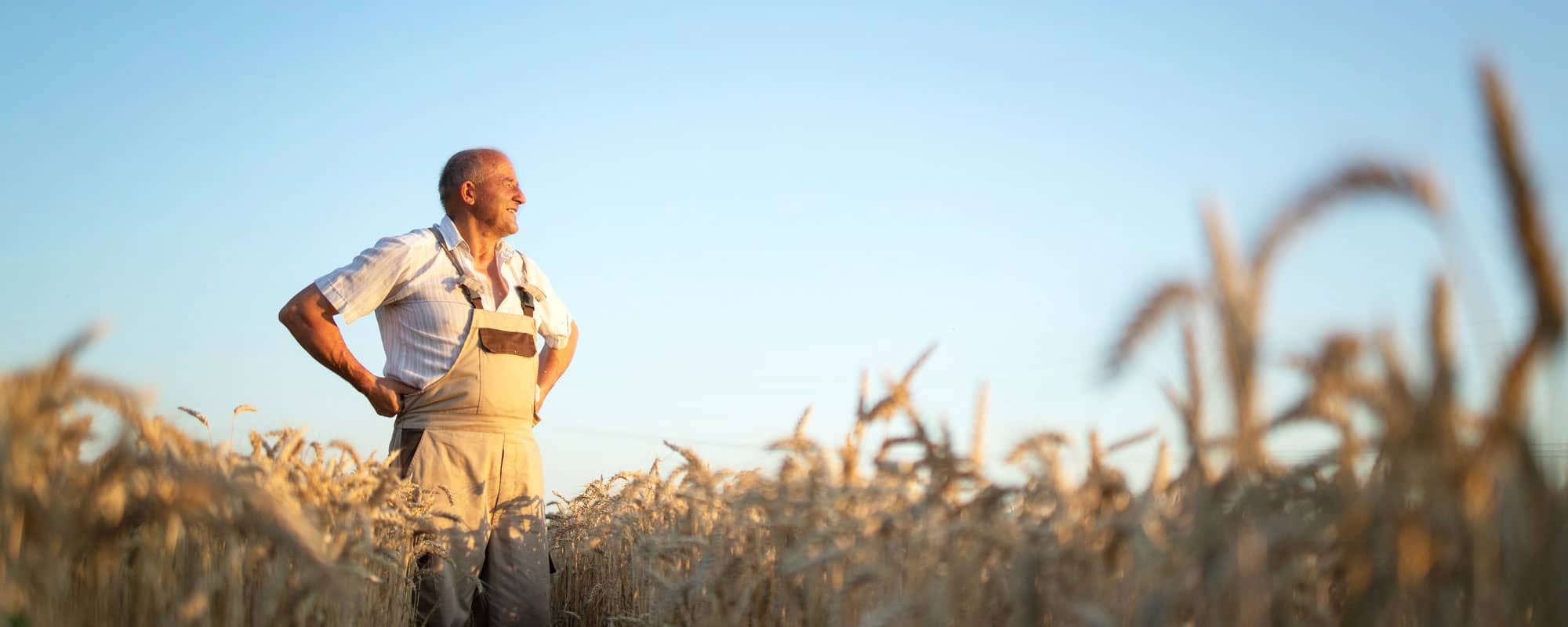 granjero/agricultor mirando al horizonte