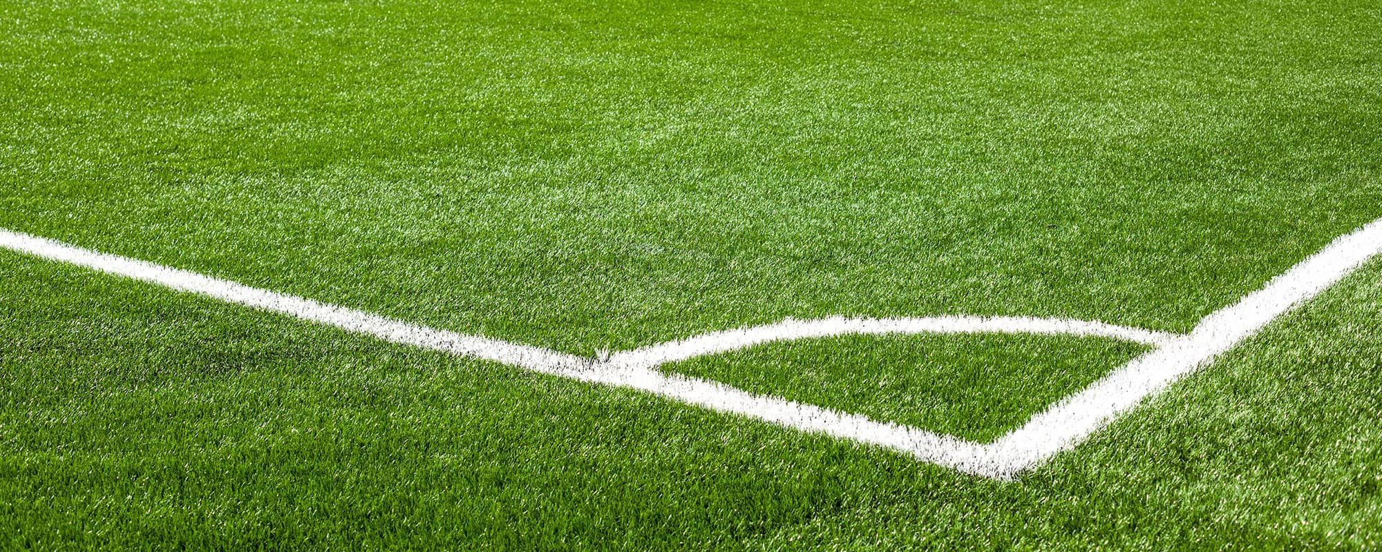 campo de fútbol, semillas para césped